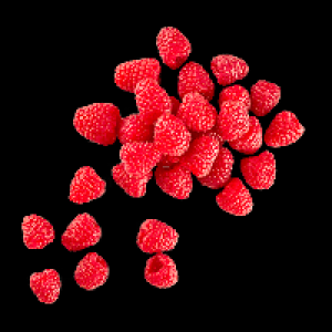 Aldi Nord  Himbeeren