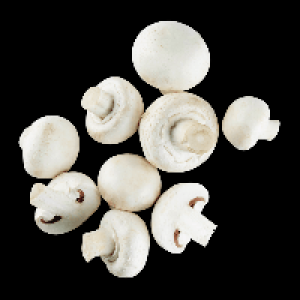 Aldi Nord  Kulturchampignons wei&szlig;