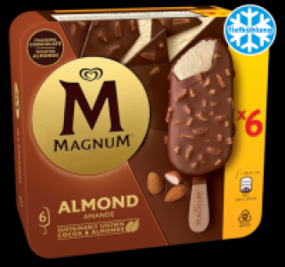 MAGNUM Almond