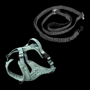 Aldi Nord Romeo ROMEO Hundeleine / -geschirr