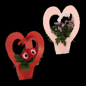 GARDENLINE Bl&uuml;hpflanze