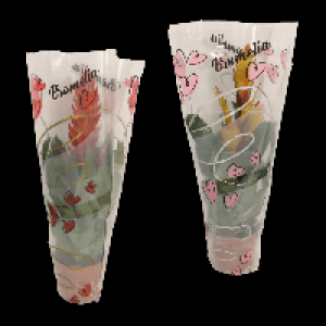 GARDENLINE Guzmanie / Vriesea