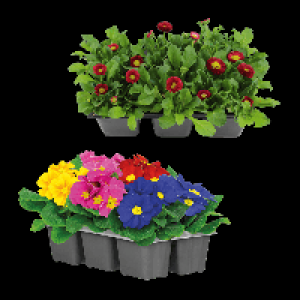 GARDENLINE Fr&uuml;hlingsmix 2.29&nbsp;&euro;
