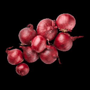 BIO Zwiebeln rot