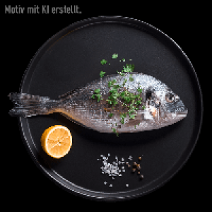 BBQ Grill- / Ofendorade