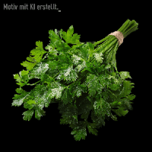 Aldi Nord  Petersilie glatt