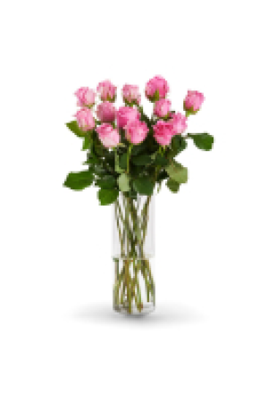 Fairer Strau&szlig; oder Rosenstrau&szlig; Fairtrade