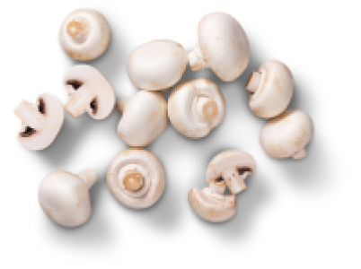 Poln./kroat. Kulturchampignons, wei&szlig;