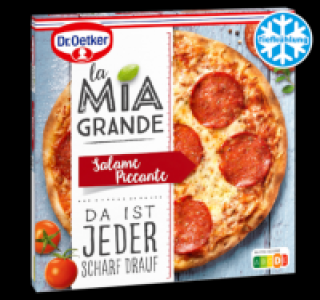DR. OETKER La Mia Grande Salame Piccante