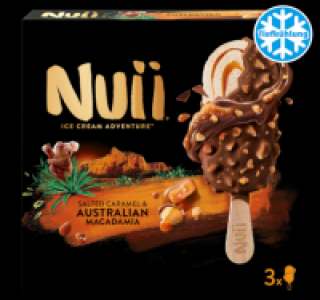 NUII Ice Cream Adventure