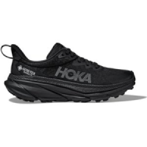 InterSport  Damen Trailrunningschuhe CHALLENGER ATR 7 GTX