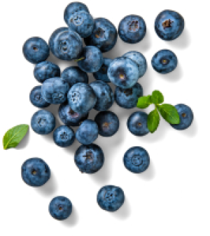 Kaufland  Rum&auml;n./poln. Kulturheidelbeeren XXL