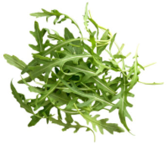 Dtsch. Rucola oder Pfl&uuml;cksalat