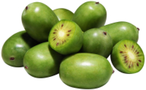 NEGRI Ital. Kiwibeeren