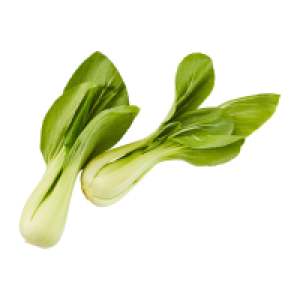 Aldi Nord  Mini-Pak-Choi