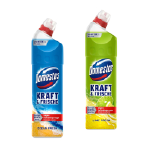 DOMESTOS WC-Reiniger