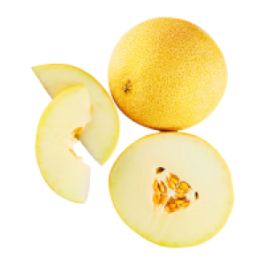 Galiamelone