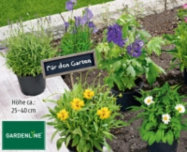 GARDENLINE&reg;Stauden-Mix 2.99&nbsp;&euro;