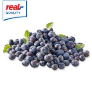 Deutschland Kultur-Heidelbeeren
