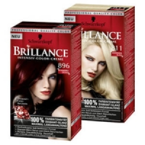 Brillance Coloration