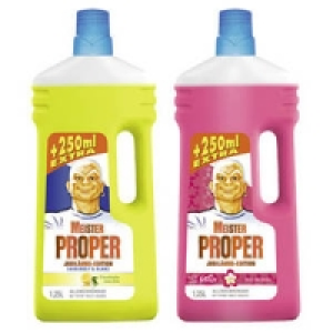 Meister Proper Allzweck-Reiniger 1.29 €