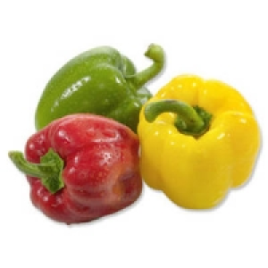 Niederlande Paprika rot, gelb oder grün