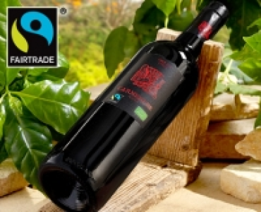 Bio Fairtrade Wein aus Chile 3.99 €
