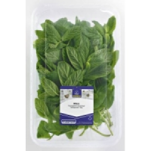 Horeca Select Frische Kr&auml;uter 2.29&nbsp;&euro;