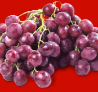 Blaue Tafeltrauben mit Kernen