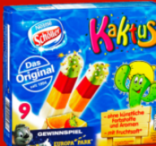 SCH&Ouml;LLER Kaktus