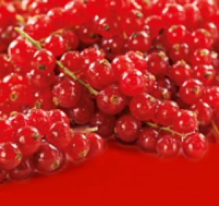 Johannisbeeren