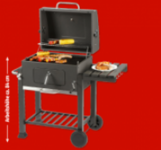 Holzkohlegrill Toronto