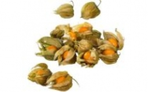Physalis 0.79&nbsp;&euro;