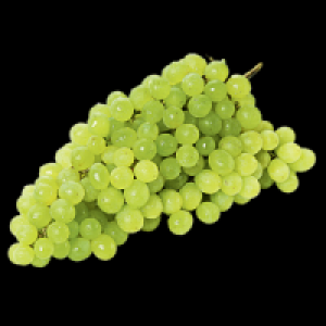 Trauben Bicolor