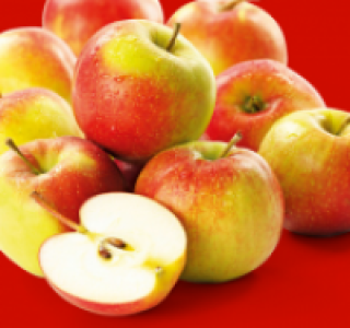 Tafelapfel rot