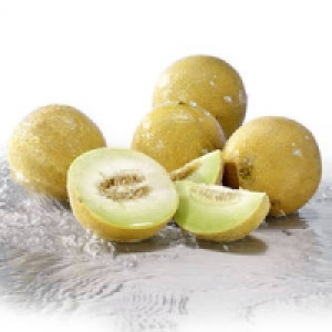 Spanien Galiamelonen 1.11&nbsp;&euro;