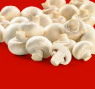 Weiße Champignons 1.19 €