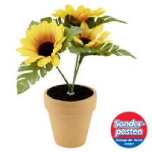 Deko-Blume 1.99&nbsp;&euro;