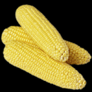 REWE Beste Wahl Zuckermais