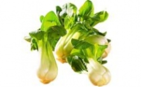 Pak-Choi Mini 1.49&nbsp;&euro;