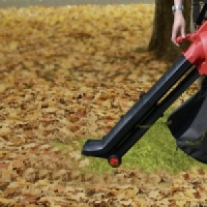 Laubsauger EGV 2500-3 24.99&nbsp;&euro;