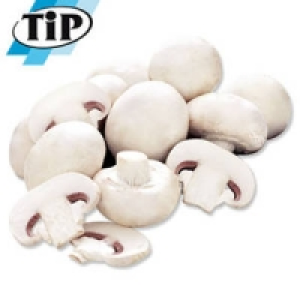 Niederlande Polen Champignons, weiß 1.29 €