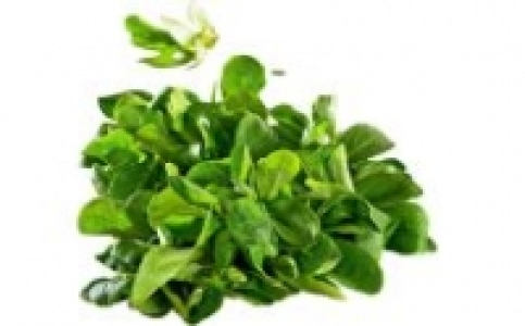 Feldsalat 0.79 €