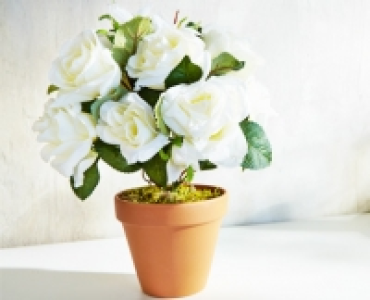 Textilpflanze 4.99&nbsp;&euro;