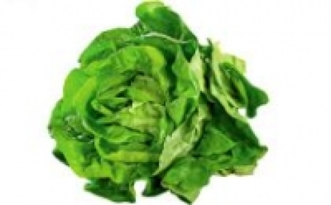 Kopfsalat 0.59&nbsp;&euro;