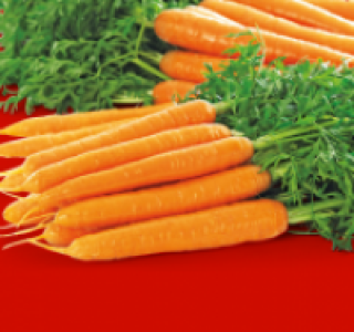 Bundmöhren 0.69 €