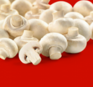 Weiße Champignons 1.11 €