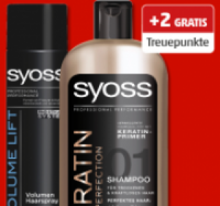 SYOSS Shampoo oder Haarspray 2.49&nbsp;&euro;