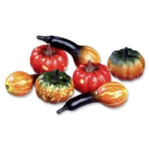 Zierk&uuml;rbisse 0.99&nbsp;&euro;