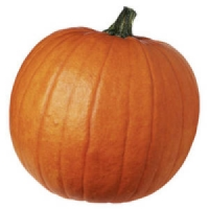 Deutschland Halloween Speisek&uuml;rbis 3.99&nbsp;&euro;